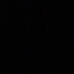 Meet your Posher, Trent